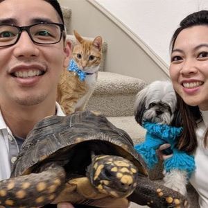 Meet your Posher, Twee-tram